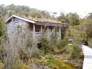 Mehr über den Artikel erfahren Nationalpark Tantauco (Insel Chiloé)