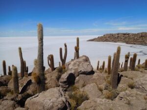Mehr über den Artikel erfahren Back to Uyuni – Salar de Uyuni