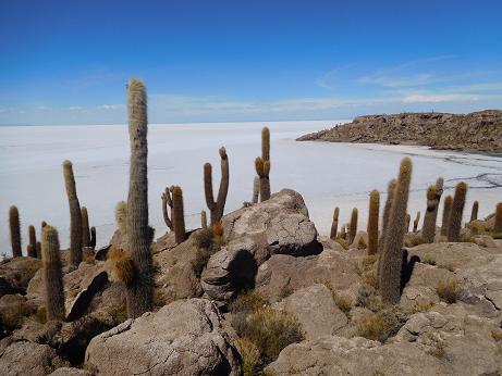 Mehr über den Artikel erfahren Back to Uyuni – Salar de Uyuni