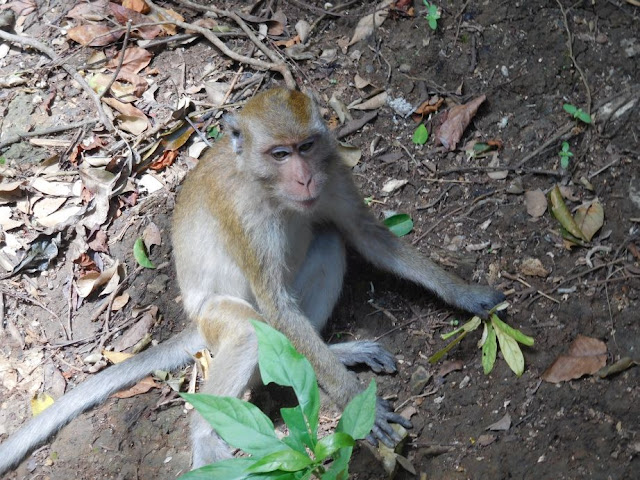image013