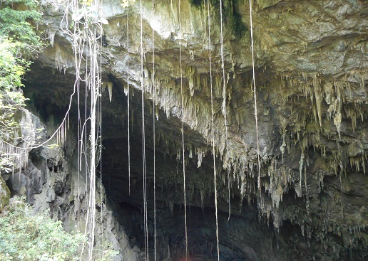 Eingang zur Höhle