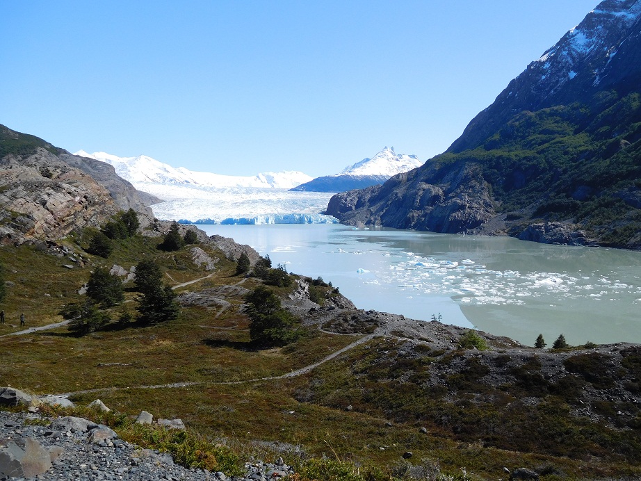 Der Grey-Gletscher