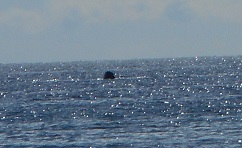 DSCN0456