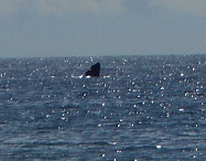 DSCN0459