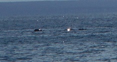 DSCN0462