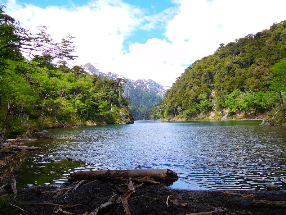 Mehr über den Artikel erfahren Parque Nacional Huerquehue