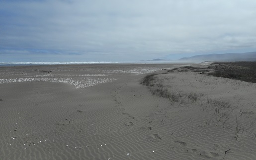 Das Meer