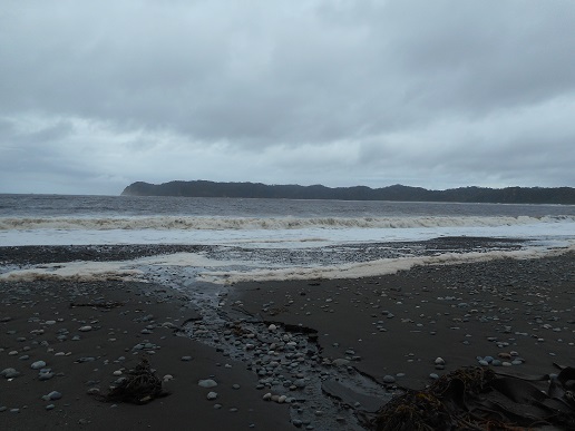 DSCN0734