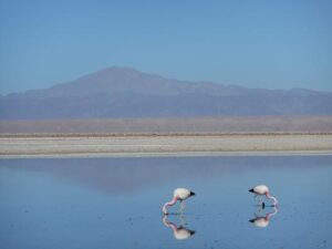 Mehr über den Artikel erfahren San Pedro de Atacama