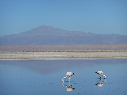 Mehr über den Artikel erfahren San Pedro de Atacama