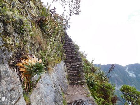 Der Weg nach oben