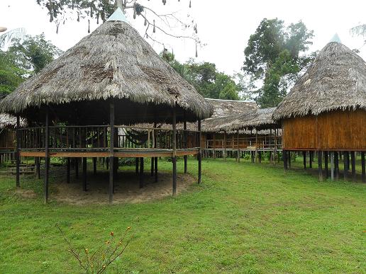 die Dschungellodge