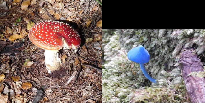 links: wie im Bilderbuch; rechts: der Eingang nach Schlumpfhausen?
