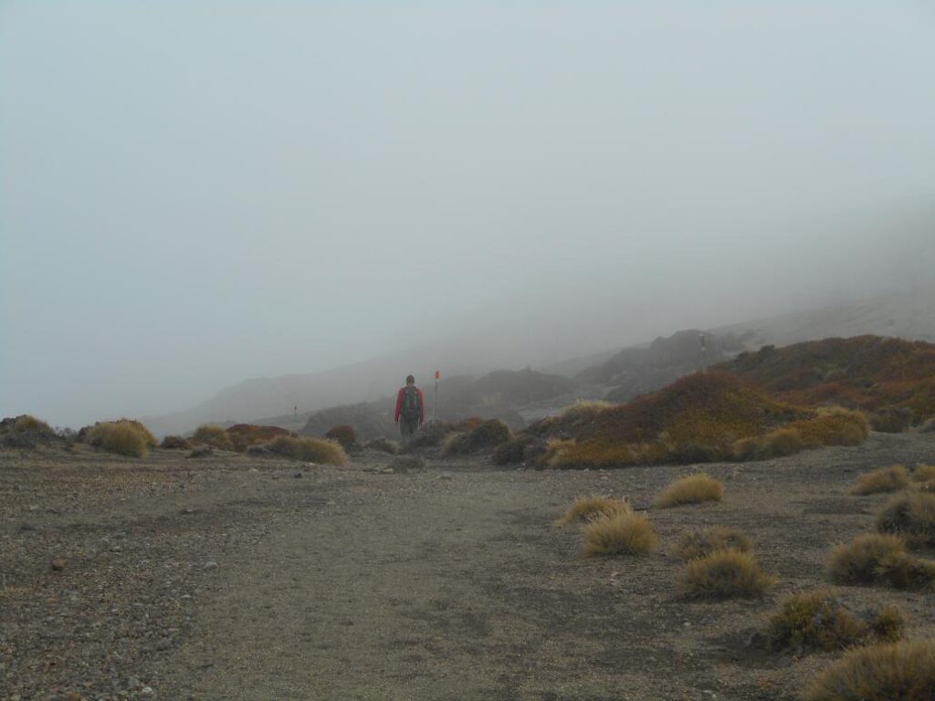 auf in den Nebel