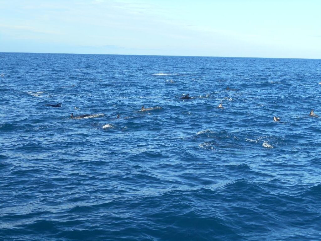 Bald dürfen wir ins Wasser