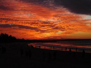 Mehr über den Artikel erfahren Queensland, von Byron Bay nach Noosa (11.07.2016-18.07.2016)