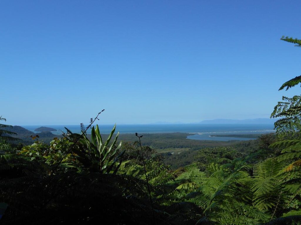 Aussicht auf dem Weg zum Cape Tribulation