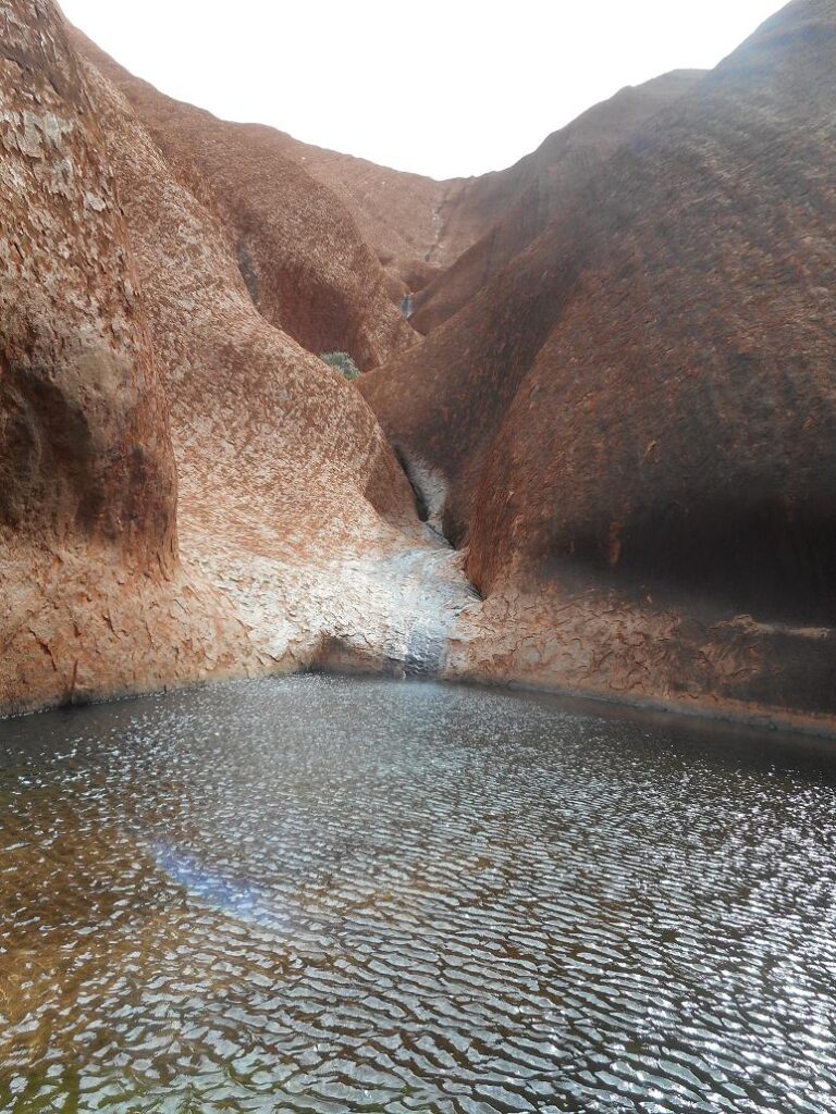 Auch in der Wüste gibt es Wasser