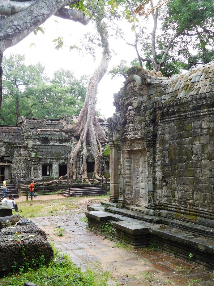 Die Bäume überwuchern die Tempel (Ta Prohm)