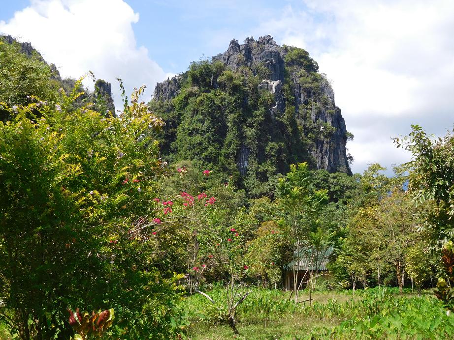 Mehr über den Artikel erfahren Die ersten Tage in Laos