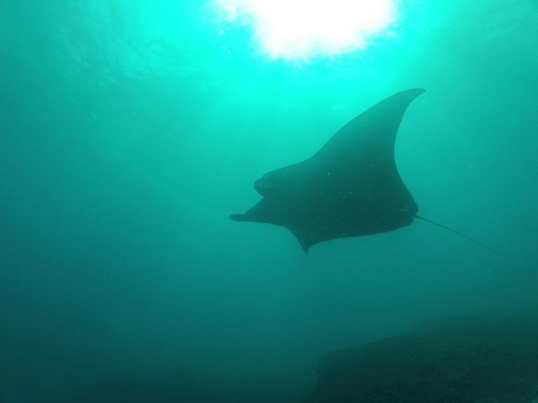 GOPR0051
