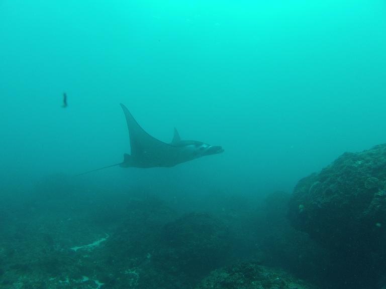 GOPR0075