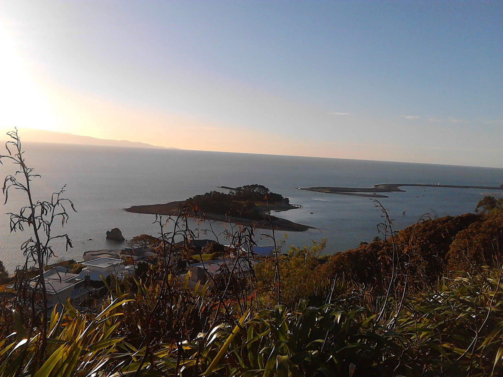 Nelson's Strand