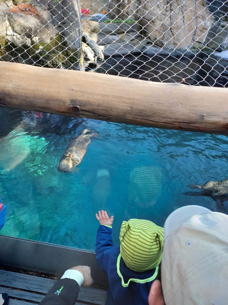 IMG-20251102-WA0011