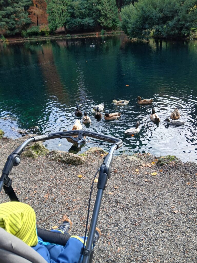 IMG-20251107-WA0000