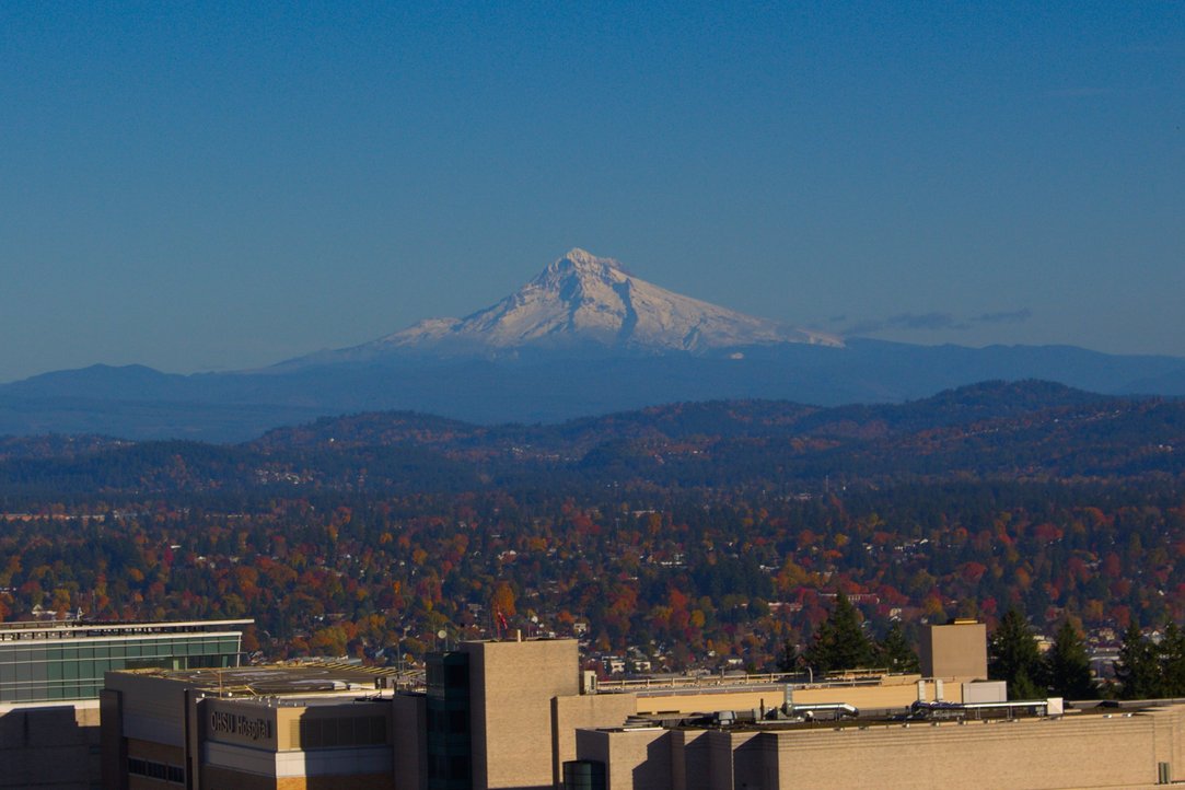 Mehr über den Artikel erfahren Auf nach Portland