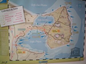Mehr über den Artikel erfahren Puerto Madryn und Peninsula Valdes