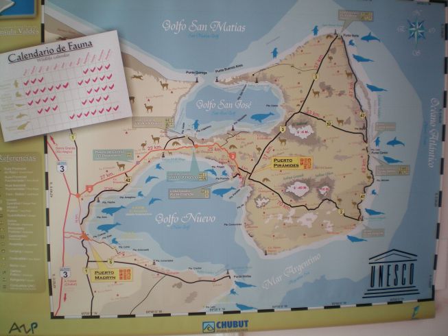 Mehr über den Artikel erfahren Puerto Madryn und Peninsula Valdes