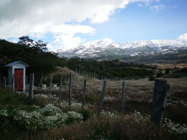 Puerto Natales (13)
