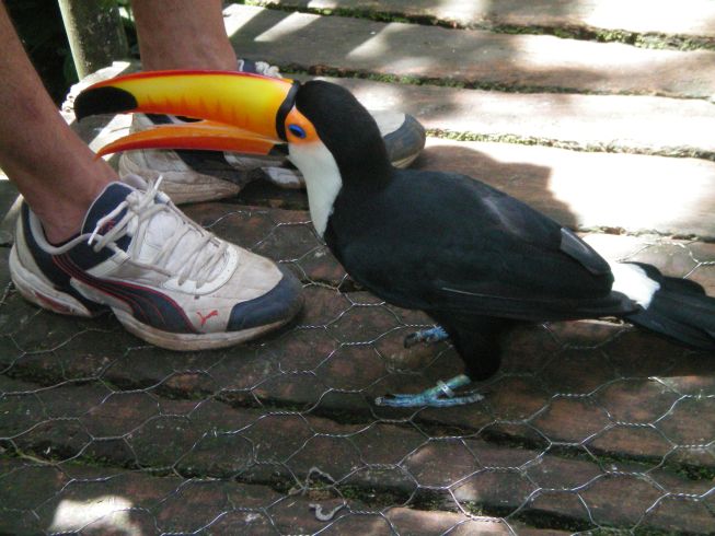 beim spielen an den Schuhen