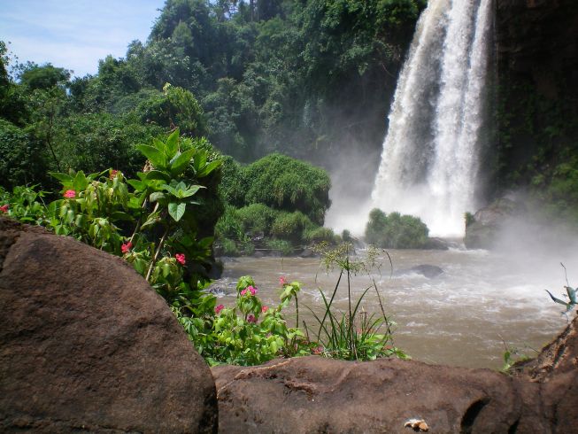 Ein Stein, ein paar Blumen und ein Wasserfall