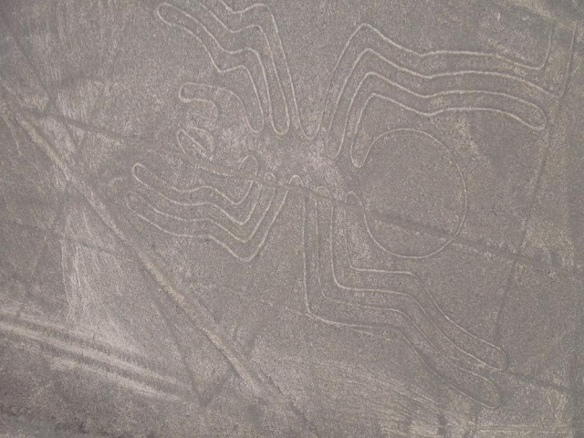 Mehr über den Artikel erfahren Geoglyphen von Nasca und Paracas