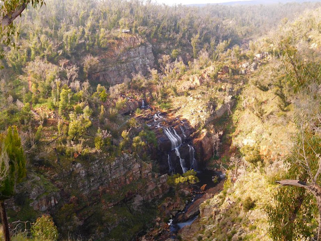 McKenzie Falls