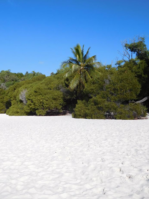 Whitehaven Beach. Und ja, der Sand ist wirklich so weiß!