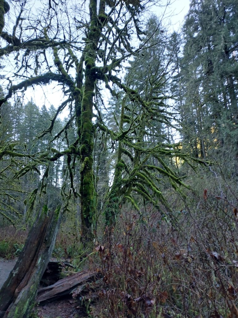 IMG-20260119-WA0020
