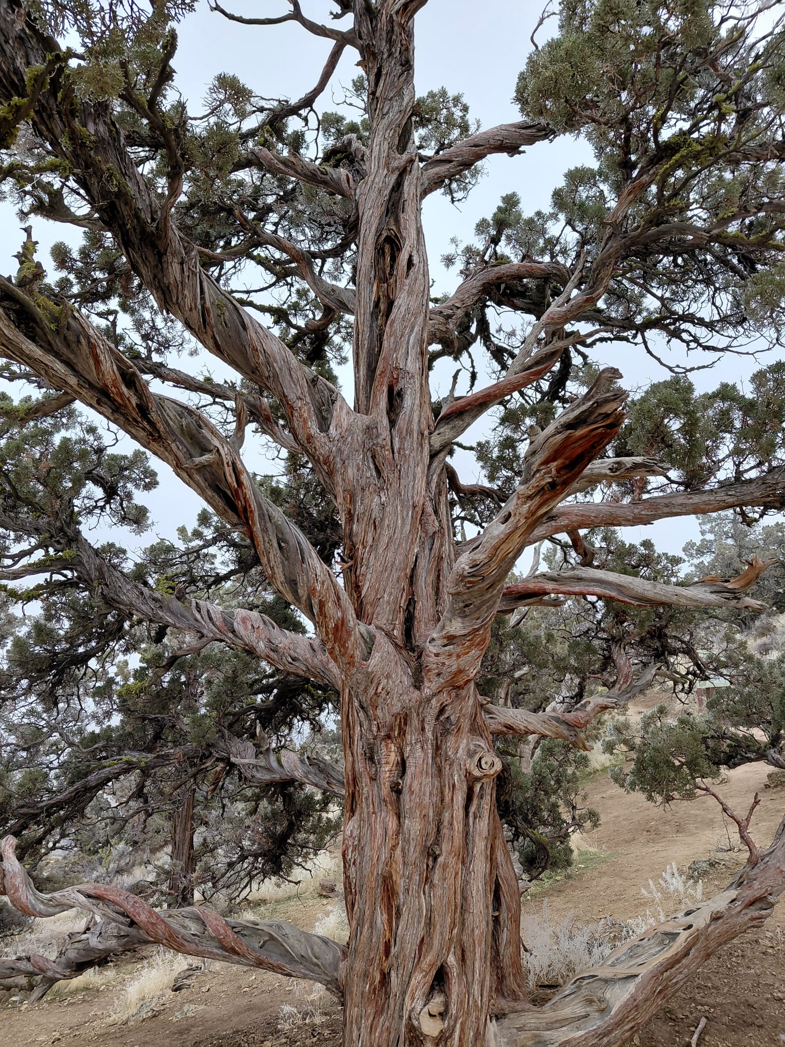 IMG-20260123-WA0042