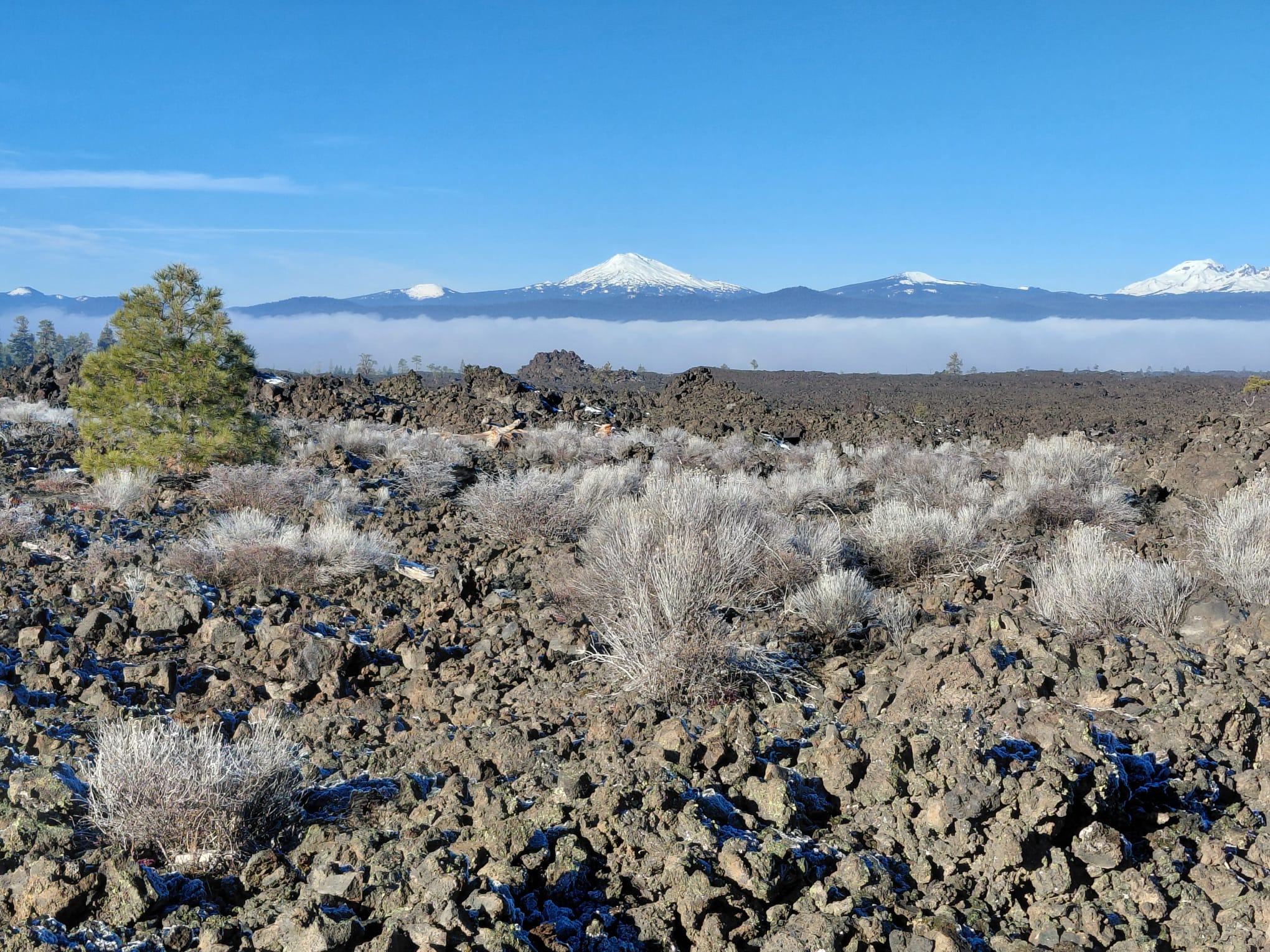 IMG-20260123-WA0048
