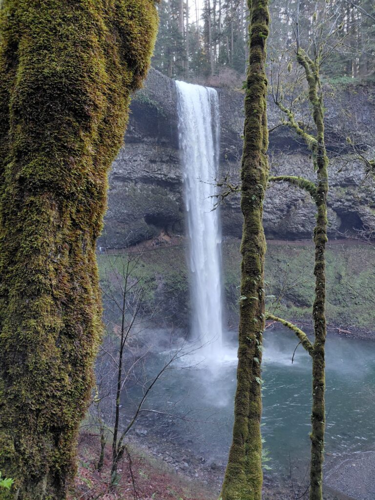 IMG-20260123-WA0063