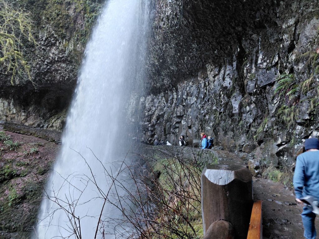 IMG-20260123-WA0071