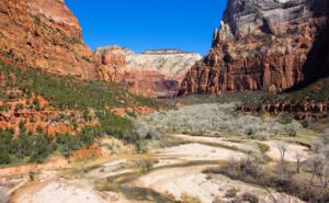 Mehr über den Artikel erfahren Zion National Park und Coral Pink Sand Dunes
