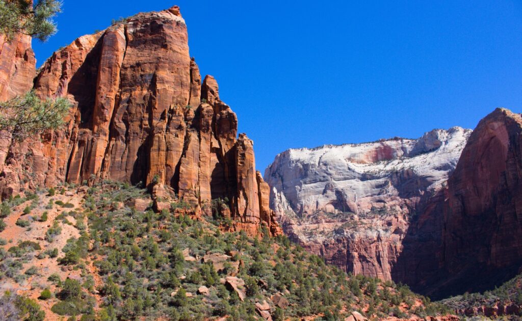 2026-03-09_Zion_0008