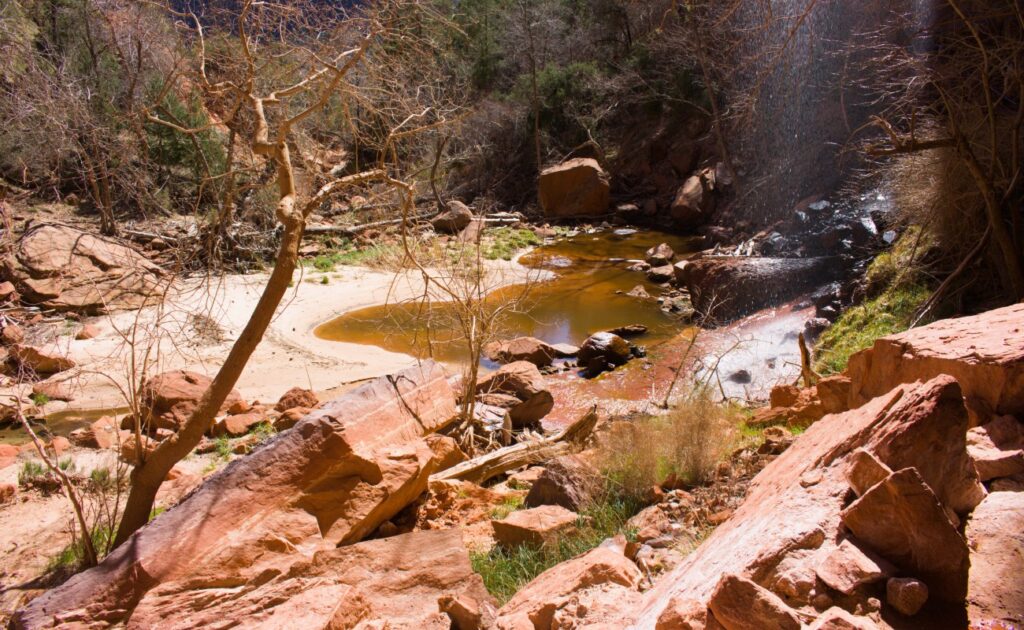 2026-03-09_Zion_0028