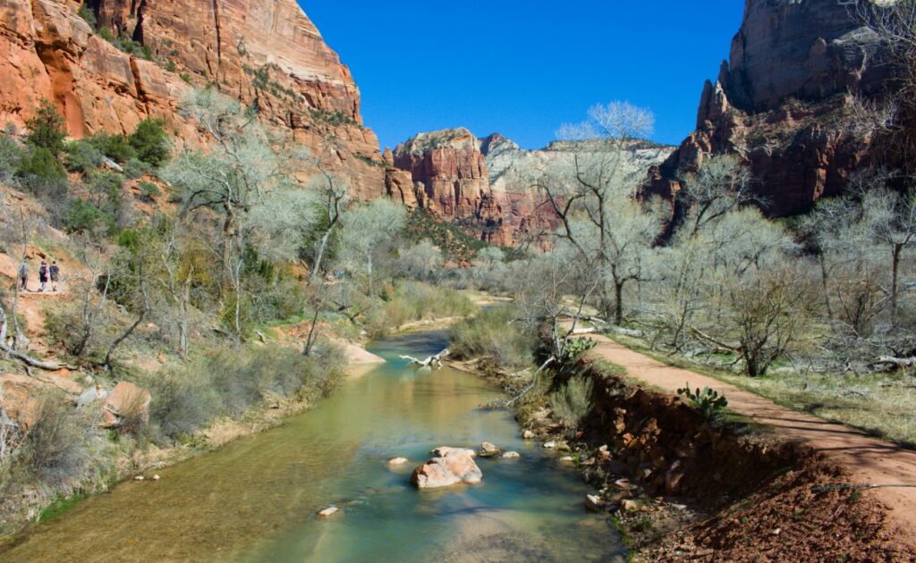 2026-03-09_Zion_0062