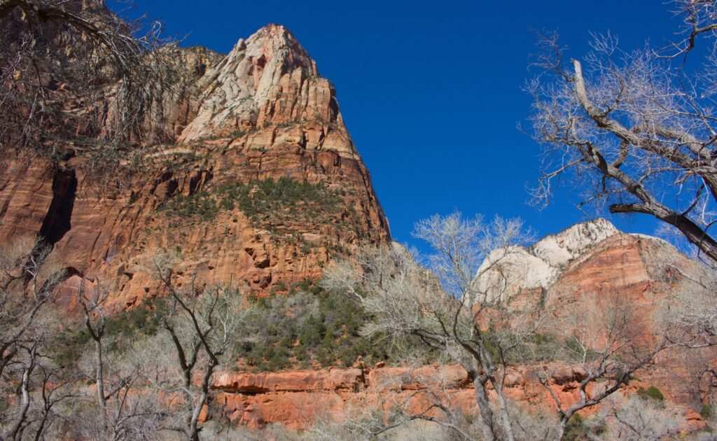 2026-03-09_Zion_0068