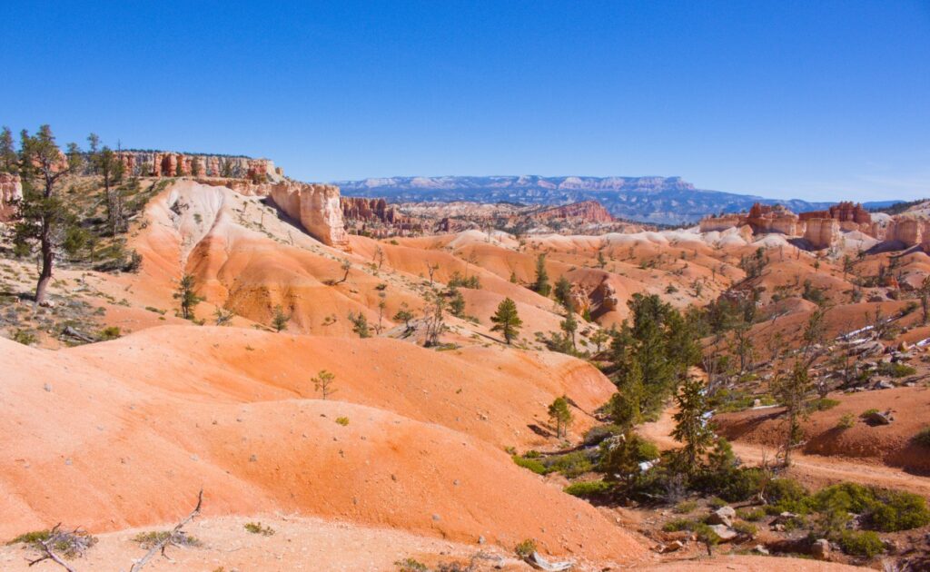 2026-03-10_Bryce-Canyon_0006
