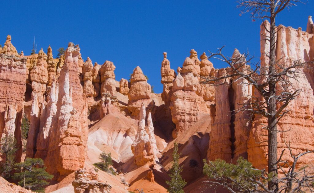 2026-03-10_Bryce-Canyon_0020